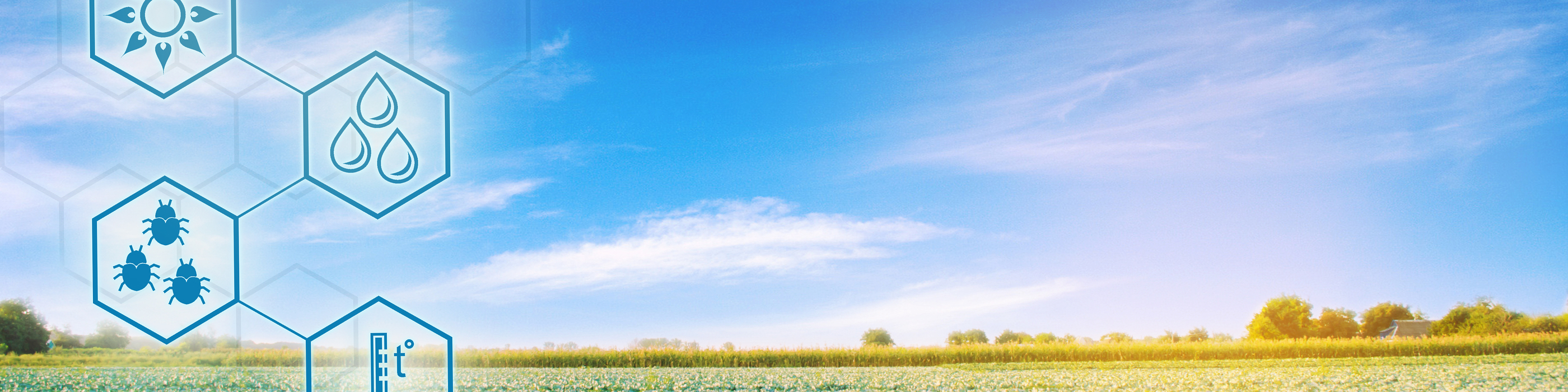 Honing Harvest: With CropX, this farmer can water crops with precision